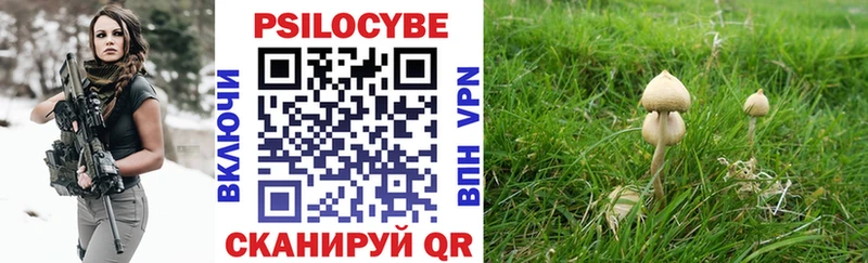Псилоцибиновые грибы Psilocybe Якутск