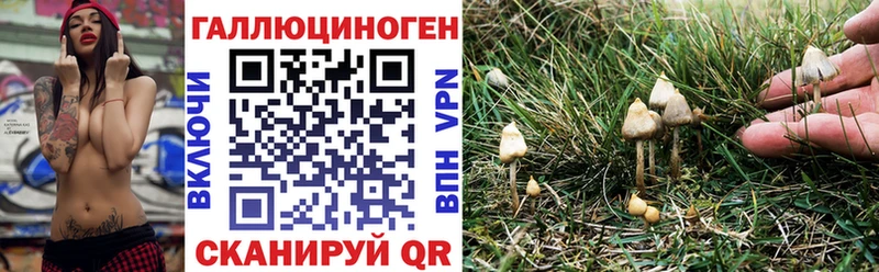 наркошоп  Якутск  Галлюциногенные грибы прущие грибы 