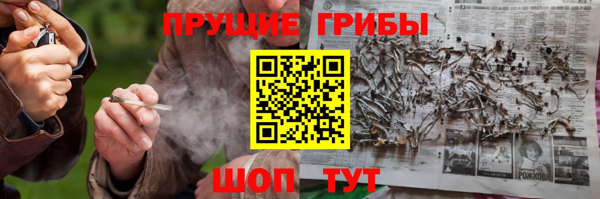 Якутск  Псилоцибиновые грибы прущие грибы  дарнет шоп  Вход с VPN 